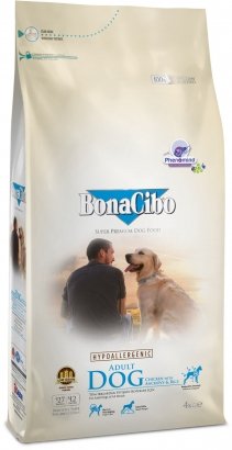 BONACIBO ADULT DOG